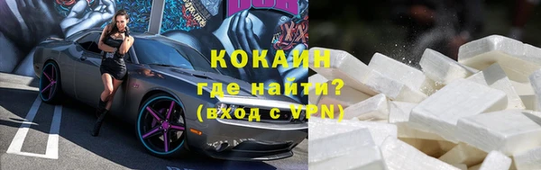 стафф Бородино