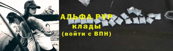 ПСИЛОЦИБИНОВЫЕ ГРИБЫ Белокуриха