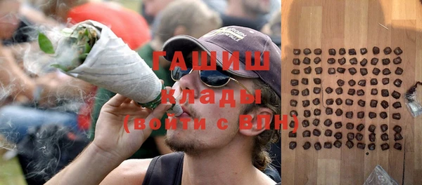 стафф Бородино