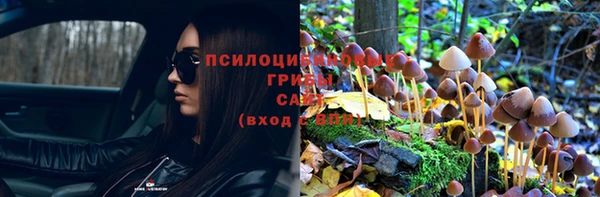 стафф Болхов