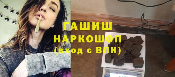 стафф Бородино