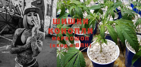 стафф Бородино